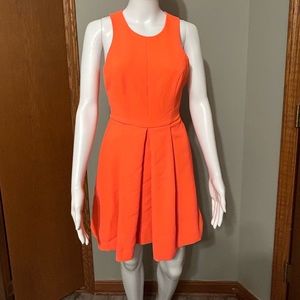Clove Coral Pleated Dress